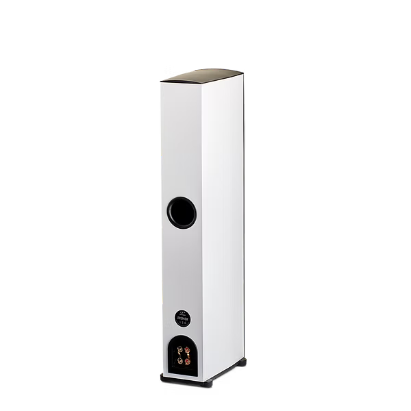 ALTAVOCES TORRE PREMIER 700F (PAR) / Paradigm