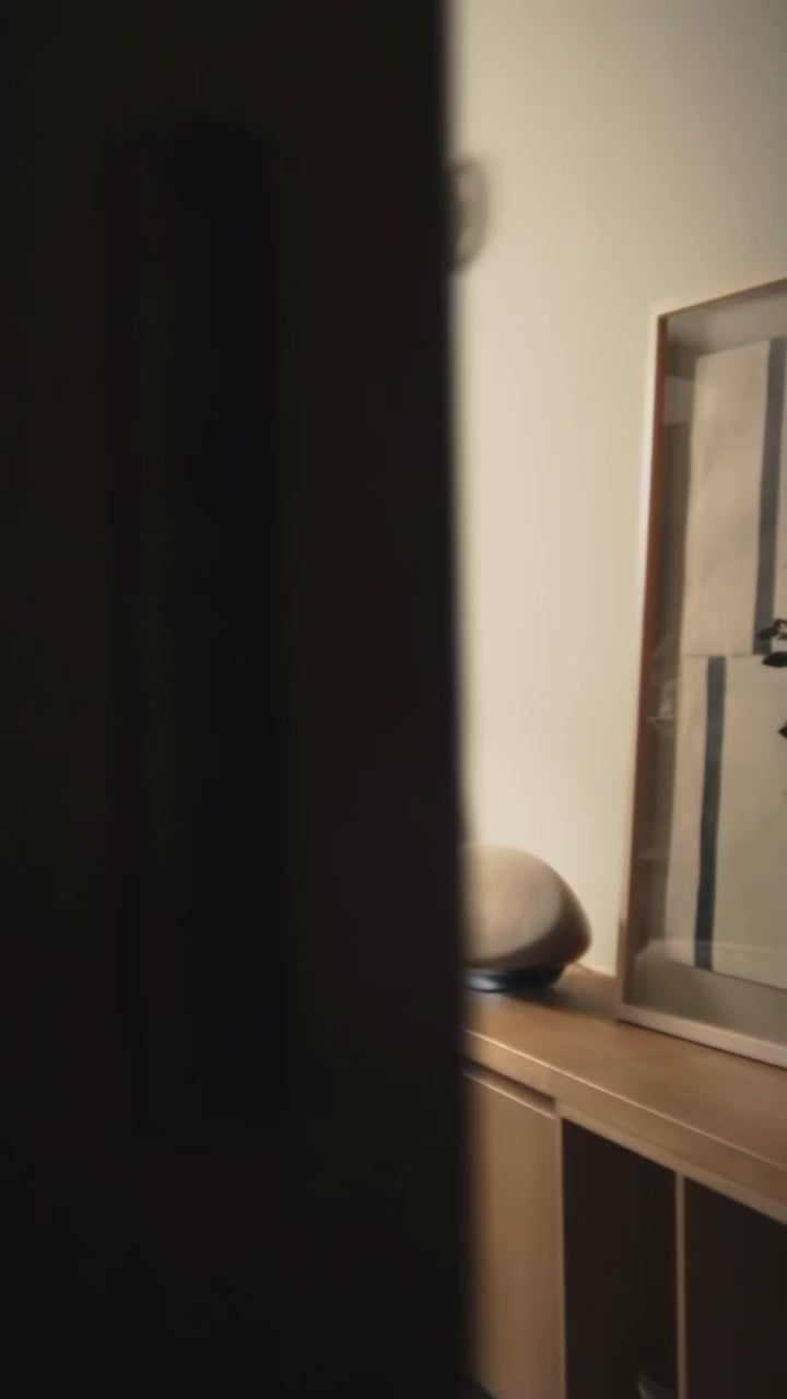 Zeppelin Altavoz Inalámbrico Premium - Bowers & Wilkins